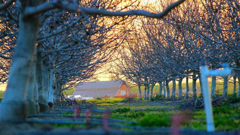 剑桥哈默顿博士后适合金融行业高管就读吗？
